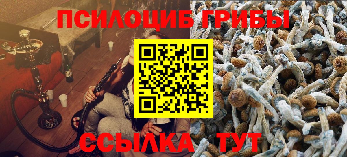 Псилоцибиновые грибы Cubensis  Вход с VPN  Псилоцибиновые грибы Psilocybine cubensis  Горячий Ключ 