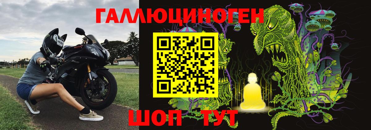 Псилоцибиновые грибы Cubensis Горячий Ключ